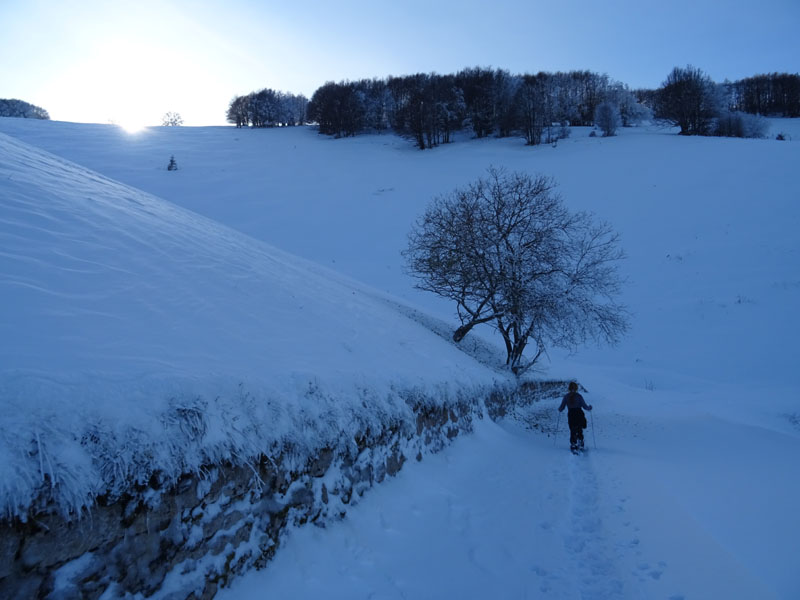 prime escursioni sulla neve....autunno  2019